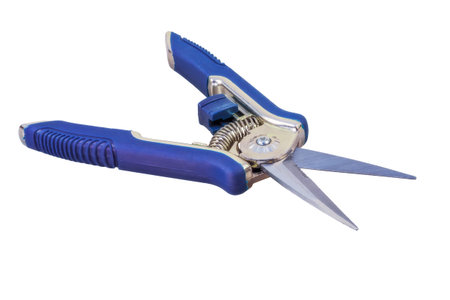 Closeup of an Isolated garden pruner with a blue handle