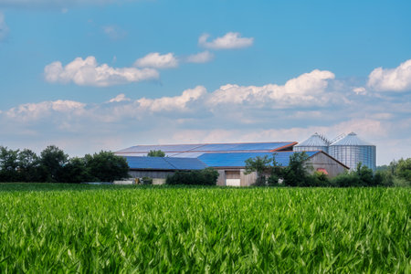 Green energy with solar collectors on the roof of an agricultural buildingの写真素材