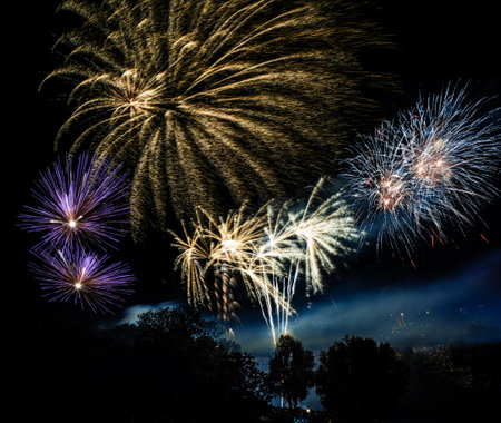Firework display on the night sky at a festivalの写真素材