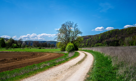 Idyllic landscape in the Shtuttertal valey near Neuburgの写真素材