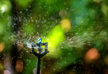 Plant and garden irrigation with an automatic watering systemの写真素材