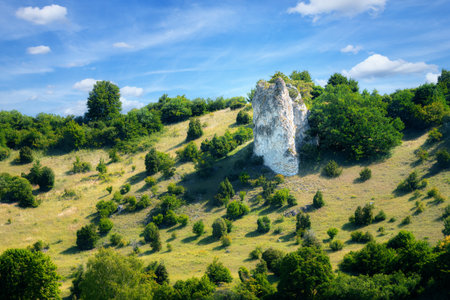 Dry slopes and juniper heath near Dollnstein (Bavaria, Germany)の写真素材