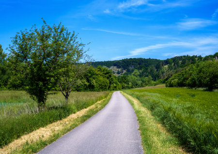 Lonely country road through the AltmÃ¼hltal valley (Bavaria, Germany)の写真素材