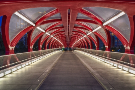 Calgary Peace bridge over bow riverのeditorial素材