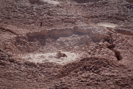 Stunning scene of hot sprngs in Yellowstone National park, USA