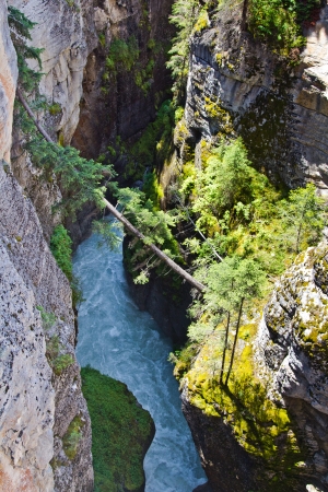 Maligne Canyon in Jasper National Park  Alberta Canada の写真素材