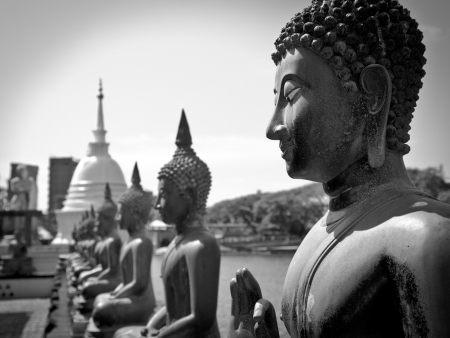 Famous sitting Buddha statues in the Seema Malaka Temple in Colombo  This is situated on Beira Lake and is part of the Gangaramaya Buddhist Temple Complex の写真素材