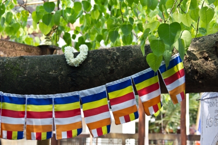 Buddhist prayer flags with boo leavesの写真素材