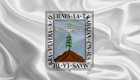Mexican State Flags  Waving Fabric Flag of Morelosの写真素材