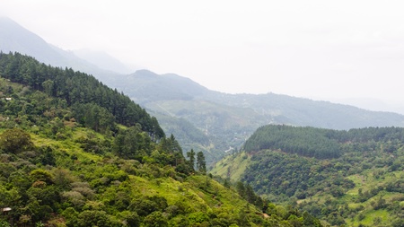 beautiful green mountains landscape view in Sri Lankaの写真素材