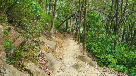 Famous MacLehose Trail Section 6 in Hong Kong, Chinaの写真素材