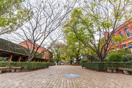 The University of Melbourneのeditorial素材