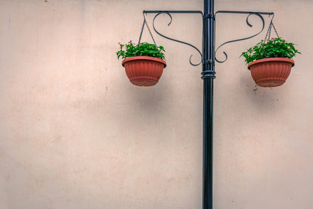 Wall background with flower vasesの写真素材