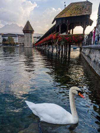 Chapel bridge in Lucerne, Switzerlandの写真素材