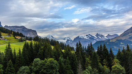 View of Swiss Alps from Wengenの写真素材