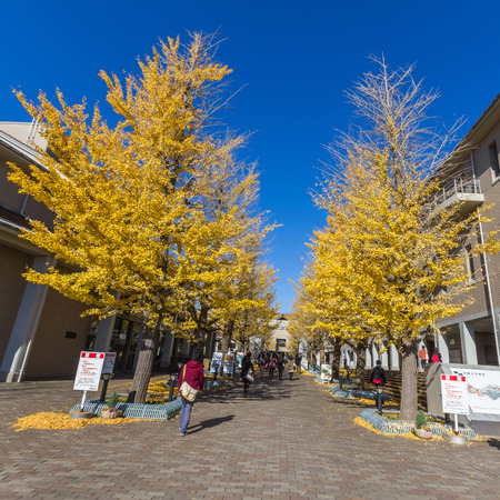 Tokyo Metropolitan University is a public university in Japan. It is often referred to as TMU. It was established by integrating three universities and one junior college.のeditorial素材
