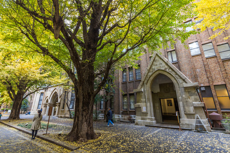 The Hongo campus of University of Tokyo in Autumn. The main Hongo campus occupies the former estate of the Maeda family, Edo period feudal lords of Kaga Province.のeditorial素材