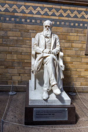 Statue of Charles Darwin by Sir Joseph Boehm in the main hall of the Natural History Museum in London. He was best known for his contributions to evolutionary theory.のeditorial素材
