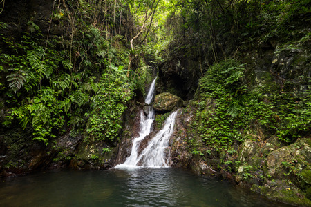 Bottom Fall in Ng Tung Chai tail in Tai Mo Shan country park in Hong Kongの写真素材