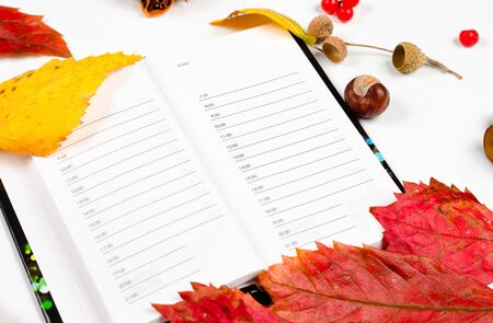 Autumn composition on white background . Blank notepad covered with autumn rust leaves, chestnuts, acorns, rowan berries . Top view , copy space .の写真素材