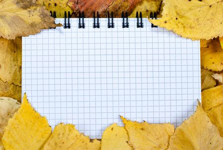 Autumn composition  indoor  . Empty notpad  sheet   surrounded  with autumn  orange  rust leaves . Top view , copy space , flat lay .の写真素材