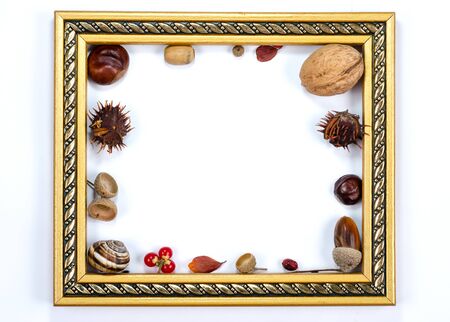 Autumn composition  indoor  on white background  . Empty golden frame  having inside  chestnuts, acorns, rust leaves, nuts , rowan berries , snail shell
Top view , copy space , flat lay .の写真素材