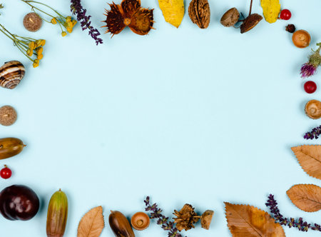 Autumn composition  indoor  on paper blue background  .Frame of  rusty  autumn  leaves , flowers   ...