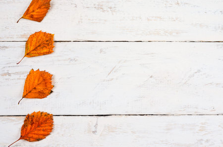 Autumn  composition  background.  Vetical row   of orange  leaves  on timber    with empty  center...