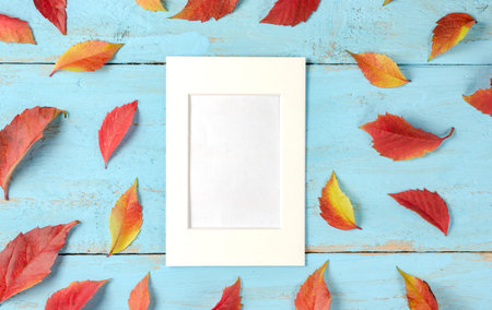 Autumn  composition  background.  Empty white frame surrounded by rusty leaves on a blue timber...