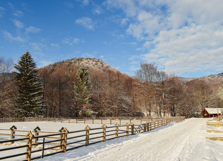 Scenic snow covered land and mountains in Romania-Malini  during winter. Winter snow-covered  country road under a  blue sky in a mountain village . Winter landscapeの写真素材