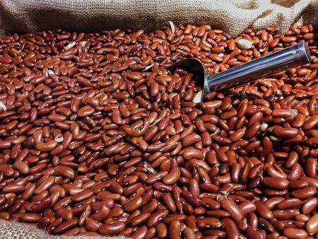 Raw  brown beans close-up for saleの写真素材