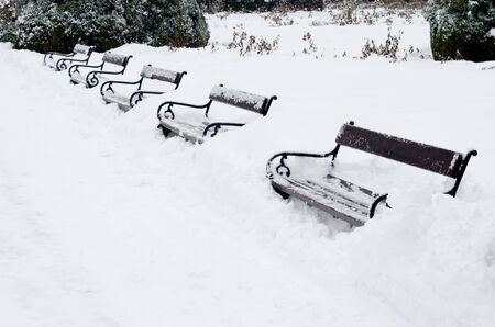 Winter park with red benches covered with snowの写真素材