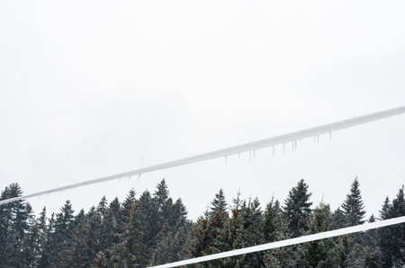 High voltage snow-covered lines near the forest