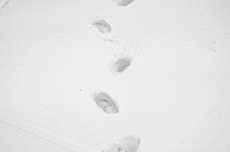 Close-up  traces of boots in the snow