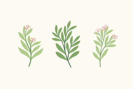 Set of vector floral elements. Hand drawn leaves isolated. Botanical illustration for decoration, print design.のイラスト素材
