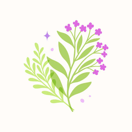 Vector modern floral arrangement background. Cute delicate botanical illustration with leaves and plants.のイラスト素材