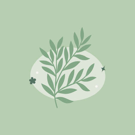 Vector modern floral arrangement background. Cute delicate botanical illustration with leaves and plants.のイラスト素材