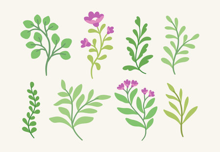 Set of floral elements. Hand drawn flowers and leaves. Vector illustration.のイラスト素材