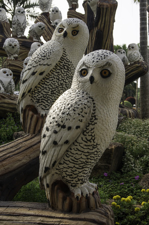 many ceramic owlsの写真素材