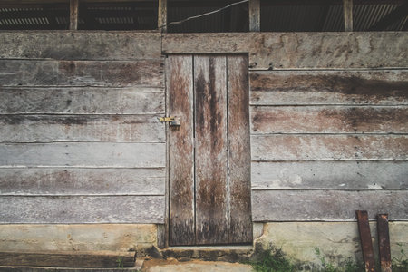 Rustic wooden door closed with a padlock in the jungle of Chiapas, Mexico.