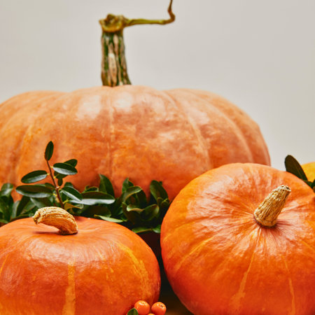 A close-up shot features three round, orange pumpkins of varying sizes, adorned with green leaves and red berries, evoking autumn.の写真素材