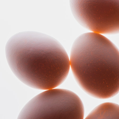 Several brown eggs are arranged closely together, with light shining through them, creating a soft, diffused glow.の写真素材