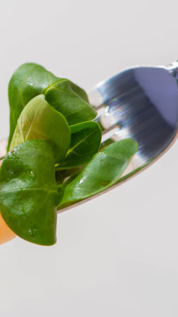 A close-up shot of vibrant green spinach leaves being held by a shiny silver fork against a plain background.の写真素材