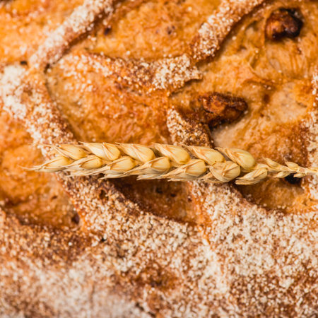 A detailed macro shot showcases the rough, grainy texture of baked bread, with a single stalk of...