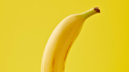 A close-up, studio shot of a single, ripe yellow banana positioned vertically against a vibrant, solid yellow backdrop.の写真素材