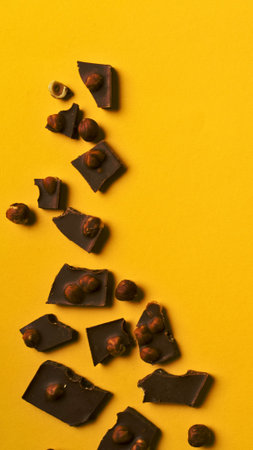 Irregularly shaped dark chocolate pieces, some with nuts, are artfully scattered across a bright...