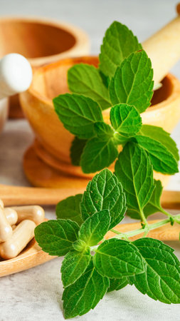 Close-up of vibrant green mint sprigs alongside a wooden mortar and pestle, suggesting herbal preparation and natural remedies.の写真素材