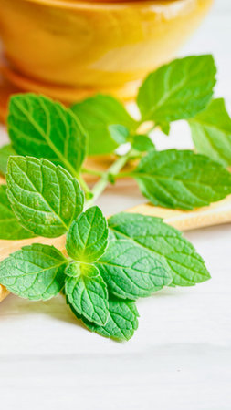 Close-up of vibrant green mint sprigs resting on a white surface, with a blurred yellow object in the background.の写真素材