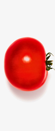 A bright red, oval-shaped Roma tomato with a small green stem is isolated on a clean white background.の写真素材