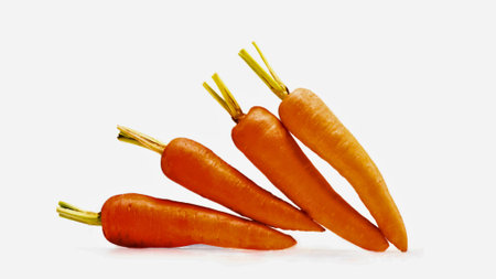A cluster of four vibrant orange carrots with their green tops still attached, presented against a clean white backdrop.の写真素材